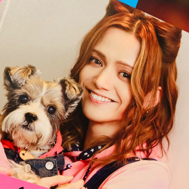 三浦涼介、写真集、朝ステ公式ファンブック、ブロマイド、クリア