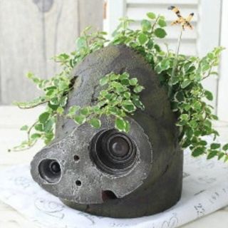 ラピュタ プランターのフリマアイテム一覧