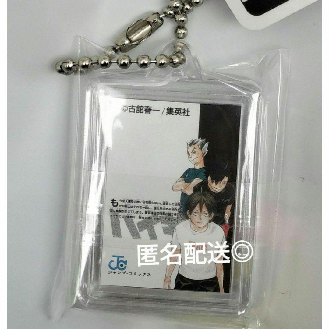 ハイキュー!! コミックチャーム 10巻【表紙】月島の通販 by 多数販売中