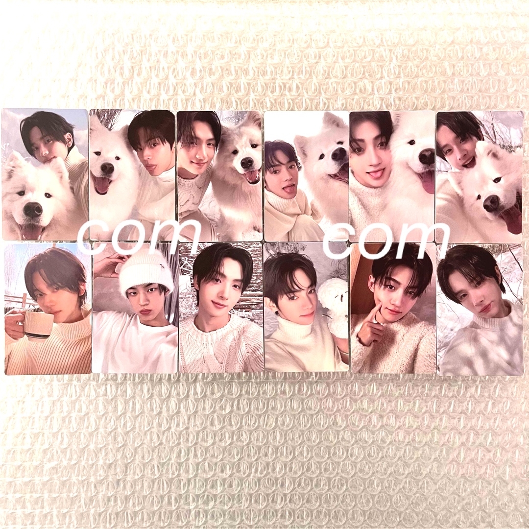 TWS Last Bell トレカ compact コンプリート シニュ ドフンの通販 by