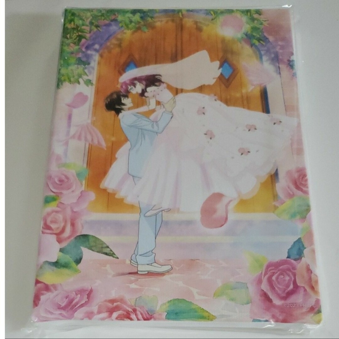 オトナプリキュア キボウノチカラ キャンバスアートボードA ココと