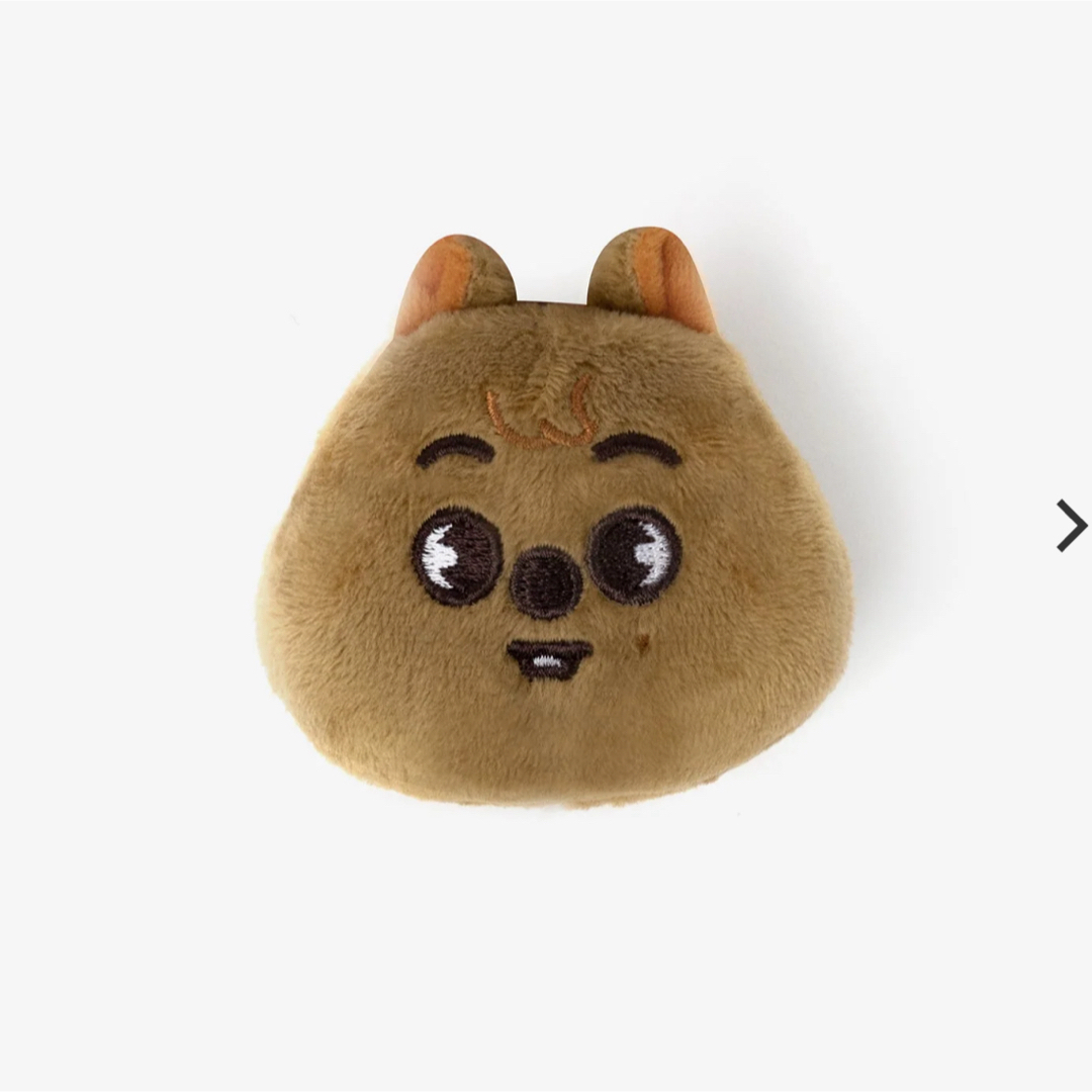 straykids スキズ テディベア SKZOO ハンクォッカ