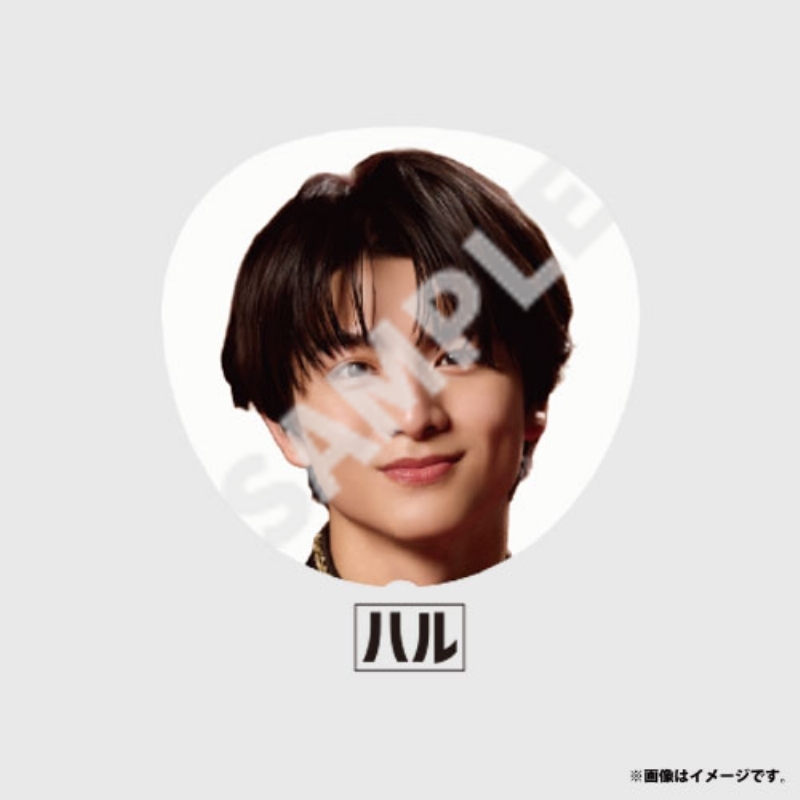 Big うちわ【超特急（ハル）】 / EBiDAN THE LIVE HOTEL NINE STAR