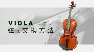 PLAYTECH ( プレイテック ) PVA360 ビオラ 16インチ PAB244弓セット