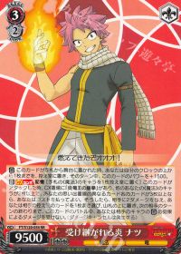 フェアリーテイル8宝紹介 | トレカの買取・通販ならカードショップ