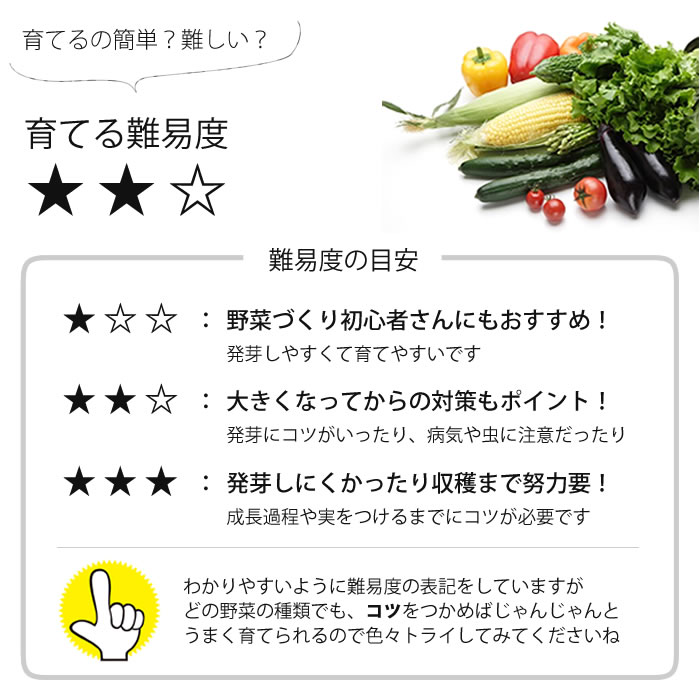 有機種子 トマト とまと イタリアントマト サンマルツァーノ 固定種