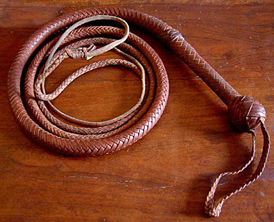 The Indiana Jones Bullwhip – indygear.net