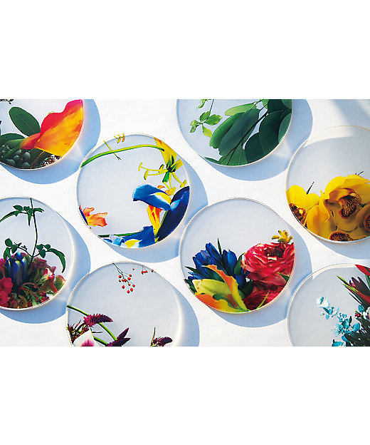 ikebana コースター 木箱入り4枚セット | toumei (Women