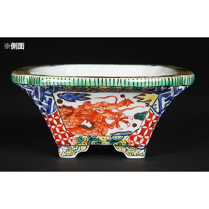 九谷晃雲色絵龍図長方鉢 盆栽鉢 鉢 植木鉢 小鉢 bonsaipot 作家鉢 くた
