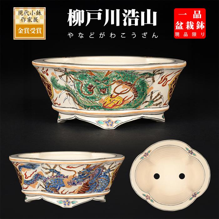 盆栽鉢 柳戸川浩山龍図木瓜式鉢 絵付鉢 手造り 手描き 4号 14cm 小品