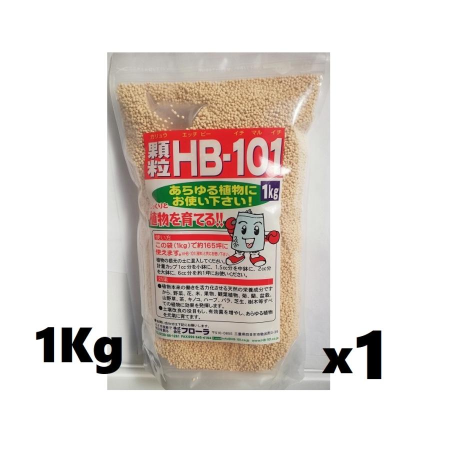 フローラ 顆粒 HB-101 1Kg 植物活力剤 Flora : 緑の毎日 - 通販