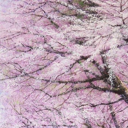 絵画 油絵 二十間道路桜並木 F30号 （木村由記夫） 【肉筆】【油絵