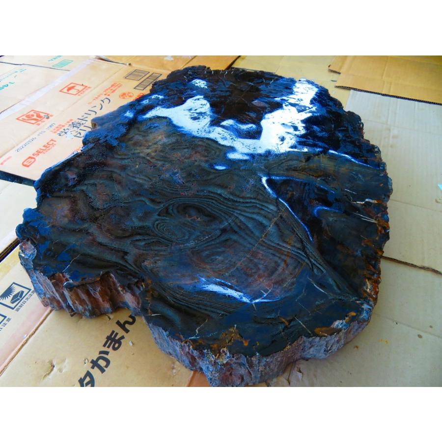 両面研磨☆絶品☆北米アリゾナ産☆化石 珪化木 10000分の1の 三畳紀