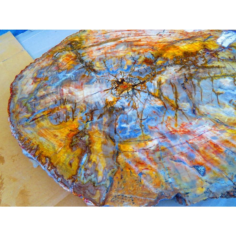 両面研磨☆絶品☆北米アリゾナ産☆化石 珪化木 10000分の1の 三畳紀