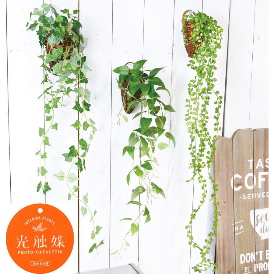 壁に掛けれる 観葉植物 光触媒加工 アイビー クレマチス ビーンバイン