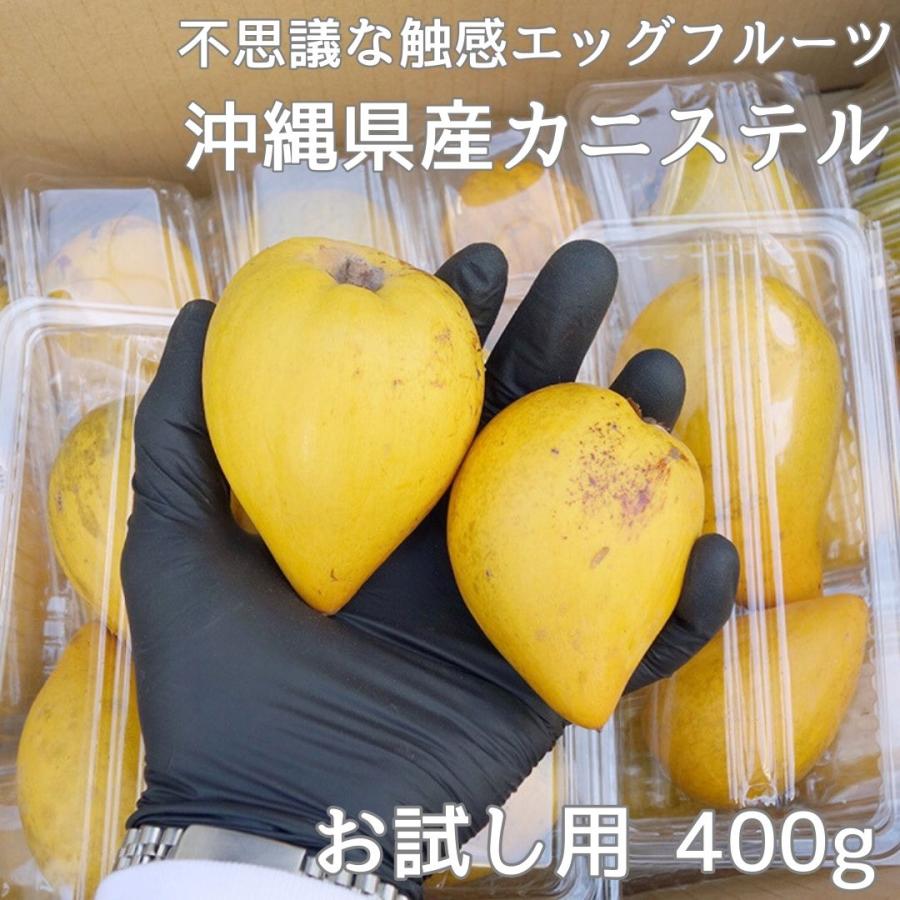 お試し用 カニステル 400g（発送開始1月〜6月）沖縄県産 : 沖縄市場