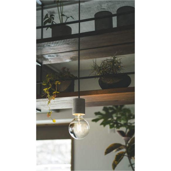 KOIZUMI（コイズミ） AP49029L ペンダントライト LEDランプ交換可能型