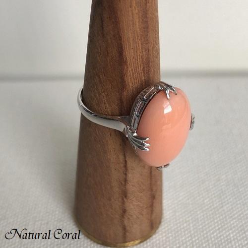 ボケ珊瑚 ぼけさんご サンゴ リング 楕円 WG ナチュラルコーラル