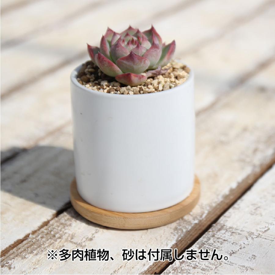 多肉植物鉢 ORTH オース 6点セット ミニポット ホワイト 竹製受け皿付