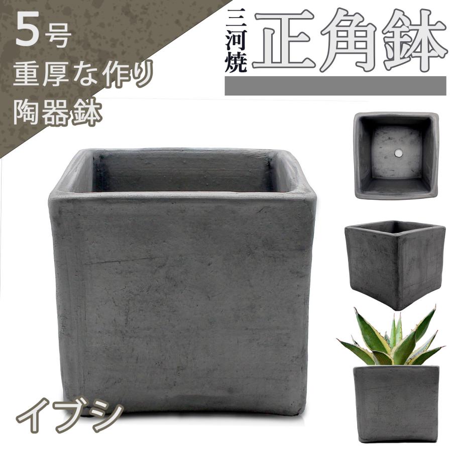 盆栽鉢 5号 正角鉢 イブシ 三河焼 燻し 四角 深型 山野草 観葉植物