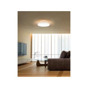 ODELIC（オーデリック） シーリングライト 【OL291583R】【OL 291 583R