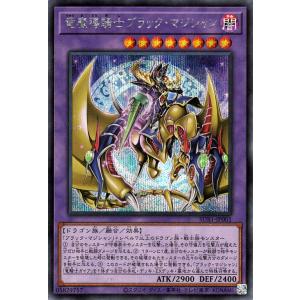 遊戯王オフィシャルカードゲーム デュエルモンスターズ 遊戯王カード