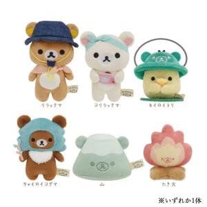 リラックマ てのりぬいぐるみ チャイロイコグマ Honey Forest