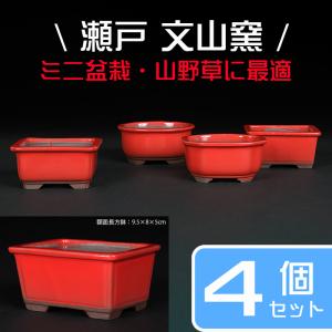 盆栽鉢 「瀬戸焼文山窯朱泥絵付鉢4点セット」 植木鉢 絵鉢 泥鉢 焼締 3