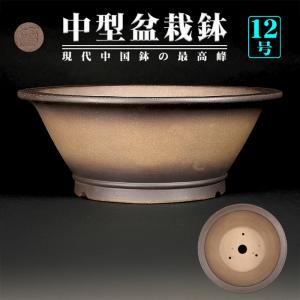 盆栽鉢 紫泥外縁下紐楕円鉢 植木鉢 中国鉢 張氏製陶 落款あり 17号