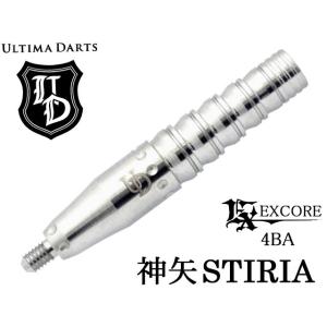 ダーツ バレル DMC ゾーン 21g タングステン90%(ZONE) : ER SPORTS