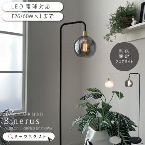 大光電機 大光電機(DAIKO) DWP-4863YTE 間接照明 屋内・屋外