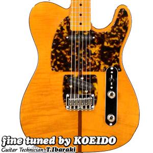 momose モモセ MTL2-STD/NJ SBBD（Fine Tuned by KOEIDO） 国産エレキ