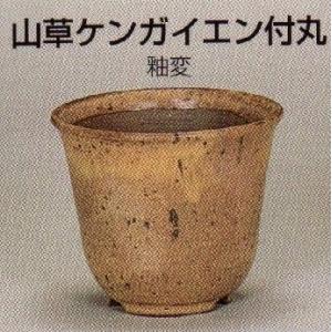 植木鉢【禄巳斉春松】手作り切立長角盆栽鉢(イブシ）13号 : ヤマコー