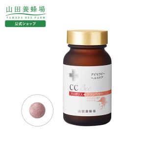 山田養蜂場 プロポリス300 得用600球 プロポリスエキス フラボノイド