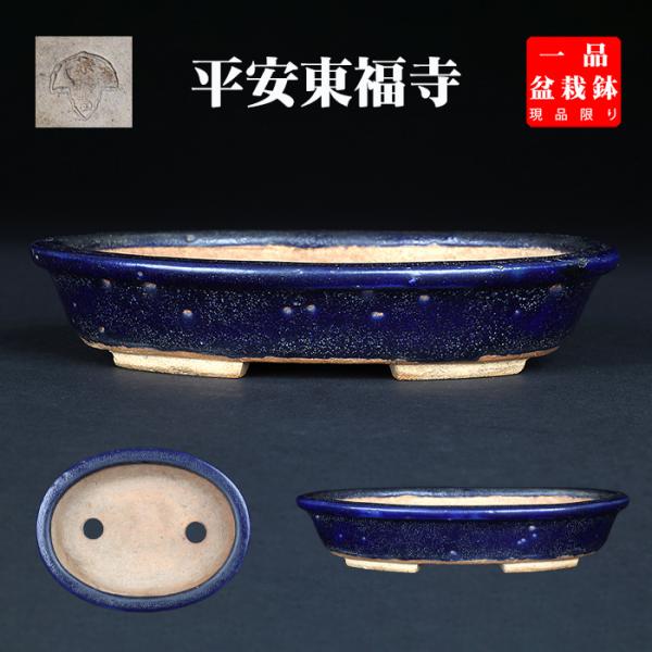 盆栽鉢 「東福寺瑠璃釉楕円鉢」 植木鉢 初代 平安東福寺 登窯 5号 15cm