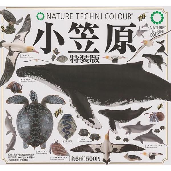 ネイチャーテクニカラー 小笠原 特装版 全6種セット ガチャ : 壱刻館