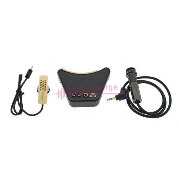 L.R.Baggs 上位バージョン Anthem ◇ L R Baggs 定番アコースティック