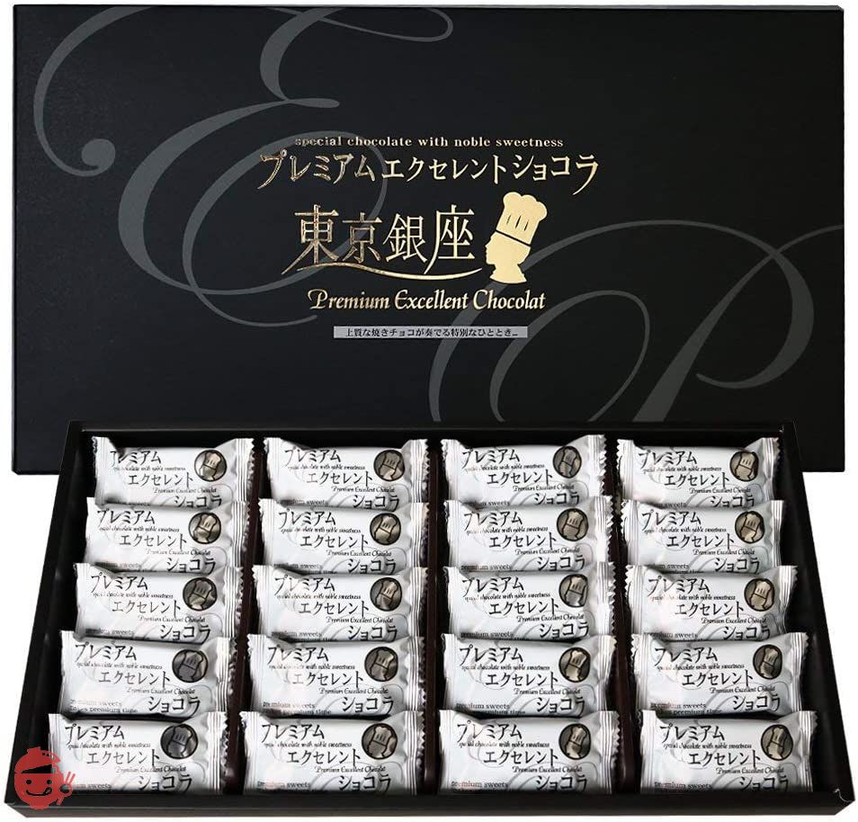 Sanyodo Tokyo Souvenir Ginza Premium Excellent Chocolat 20 pieces