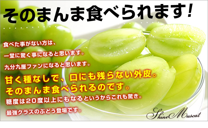 山梨県産 JAふえふき 大型シャインマスカット約1.2キロ（2房）送料無料