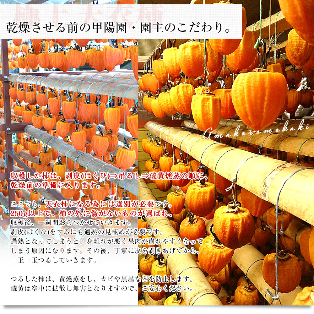 山梨県から産地直送 南アルプス市 甲陽園芸場 天衣柿（あまころもかき