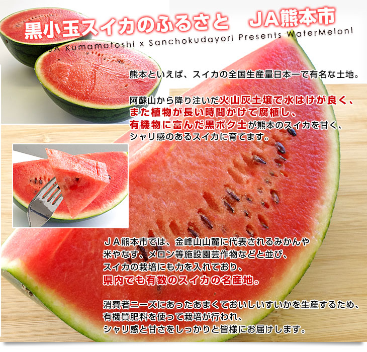 熊本県より産地直送 JA熊本市 黒小玉スイカ(ひとりじめBONBON) 3L