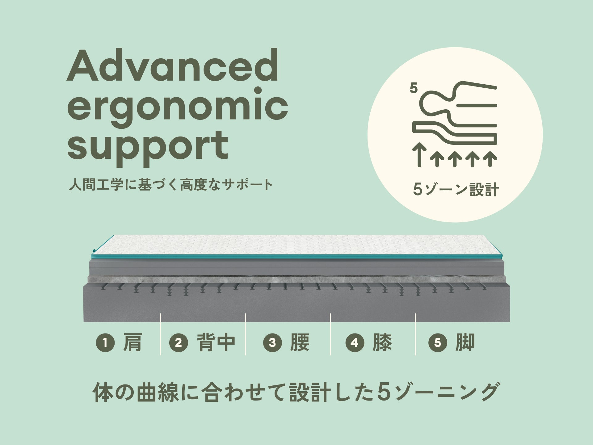 コアラマットレスプラス PLUS｜自分好みに調整できる高機能モデル