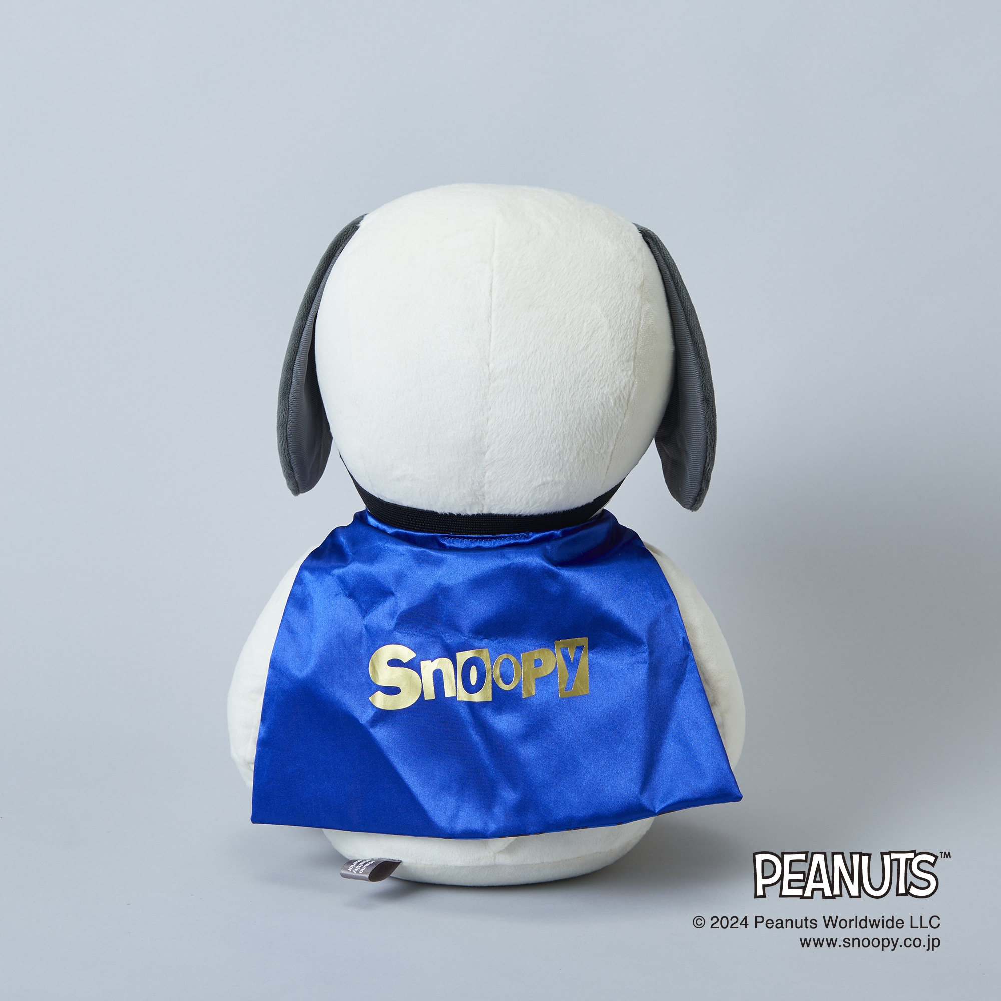 PEANUTS】スヌーピーメディシンボール ウェアグラースィズ|C3JHIB06