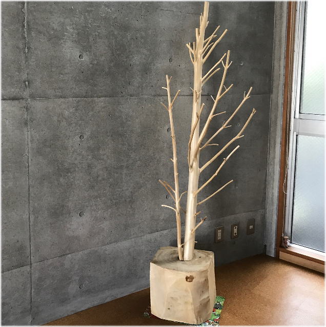 白樺の木・枝、ディスプレイ用木の販売・通販|木のアートきごころARBO