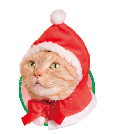かわいい かわいい ねこクリスマスちゃん｜株式会社キタンクラブ