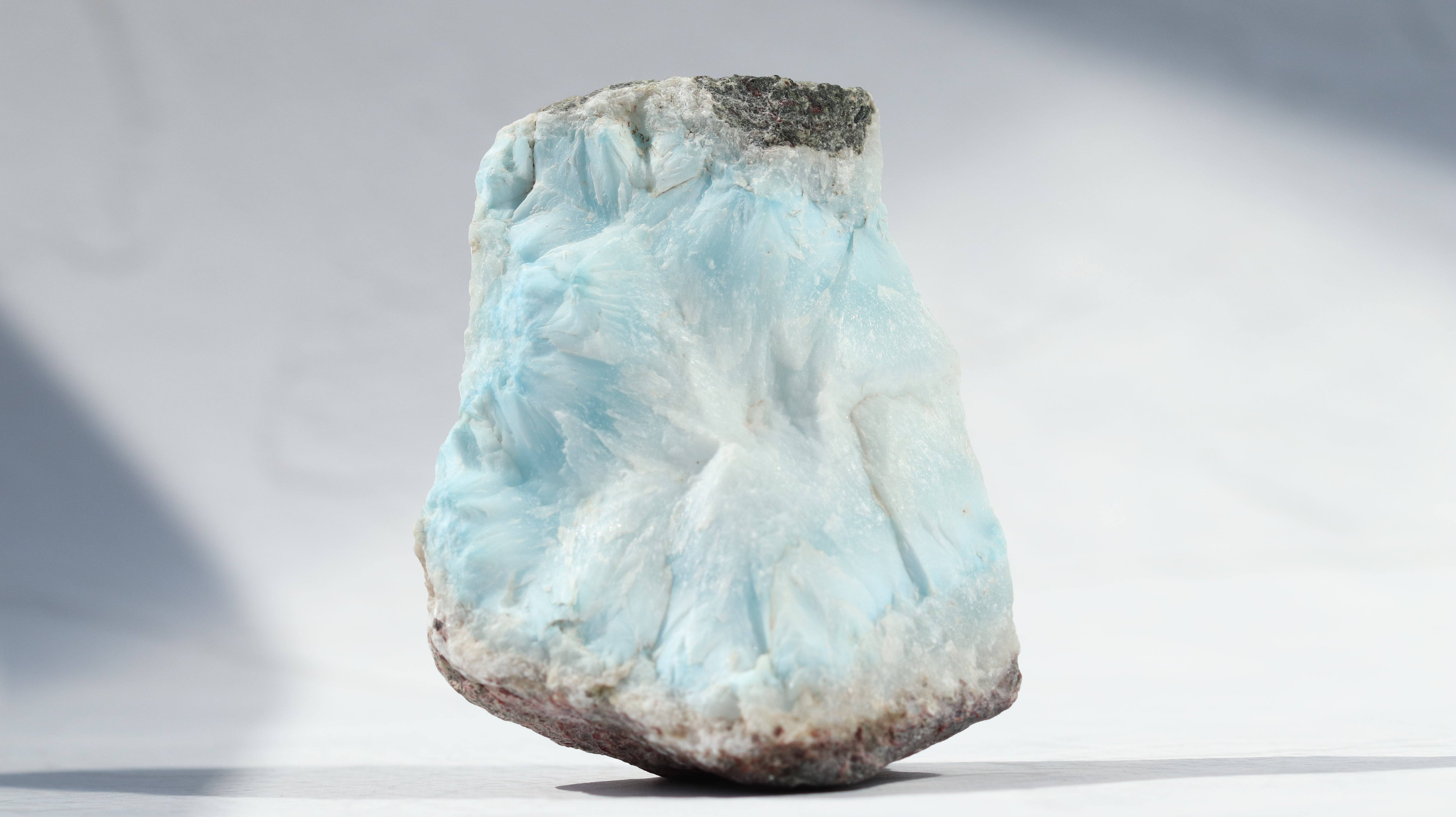 IMG_7803.jpg?v=1740913972&