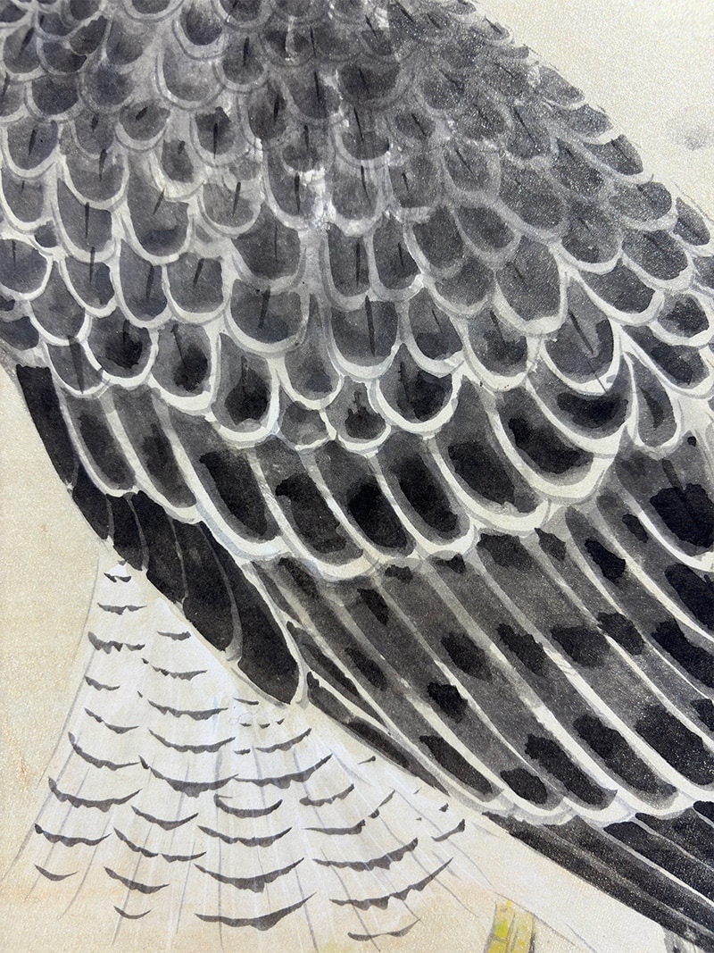 鷹｜新・古美術 高美堂（こうびどう）｜掛軸販売・通販・買取｜骨董