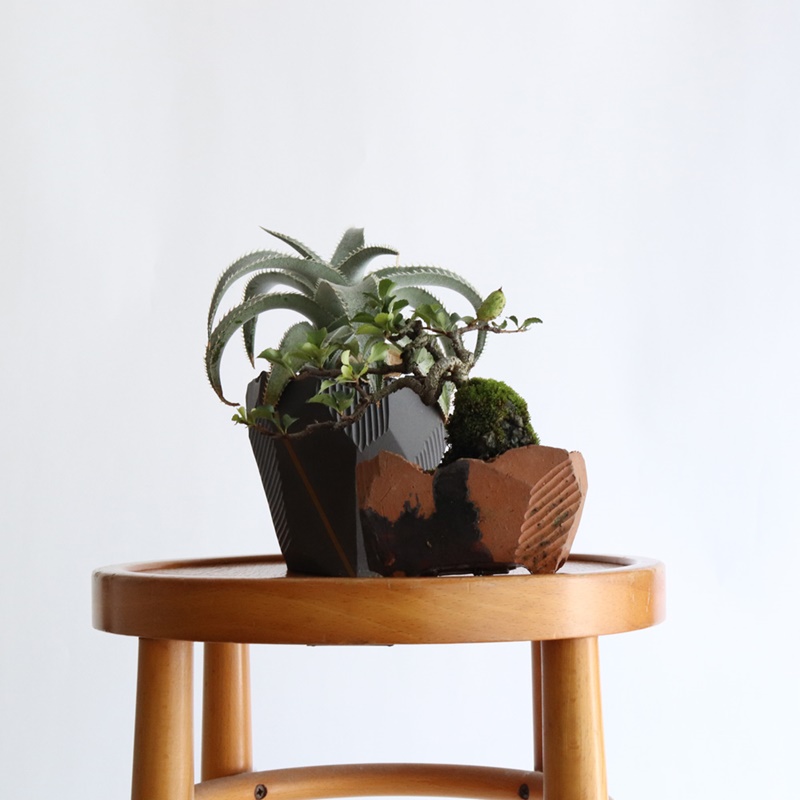 インドアグリーン上級者も唸る「N/OH（ノウ）」の植木鉢 | 暮らしと