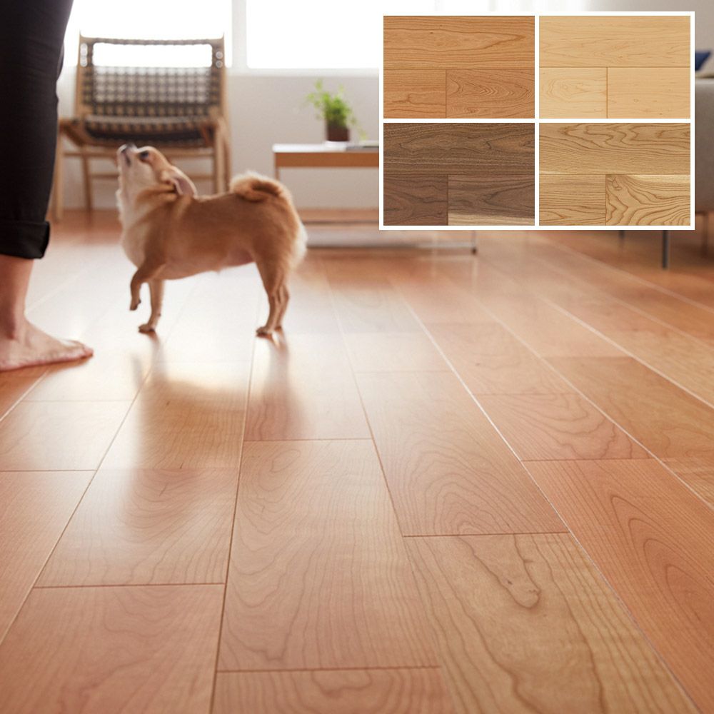 朝日ウッドテック ライブナチュラル MSX スーパー6 for Dog