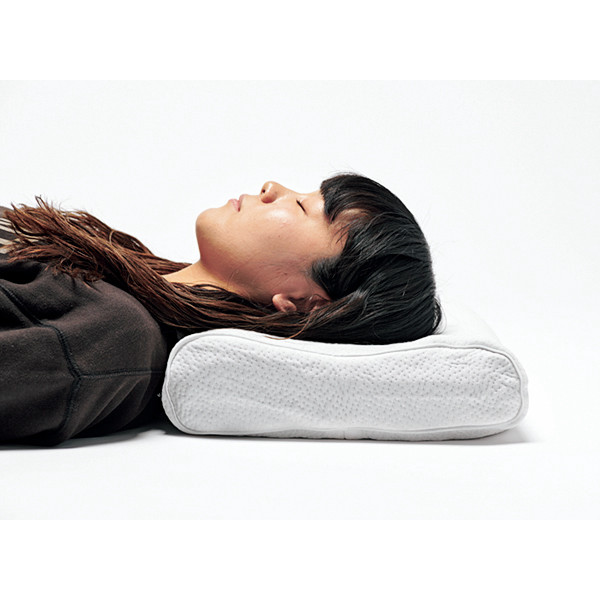 ヒツジのいらない枕 至極専用カバー2枚セット : 小学館百貨店